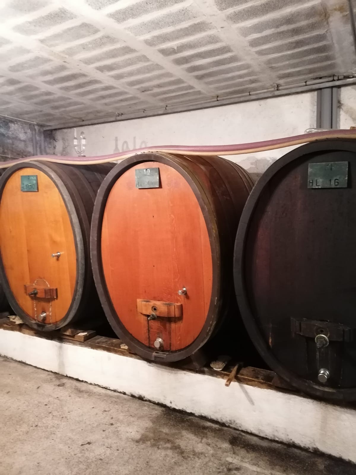 Visite d une cave et dégustation 