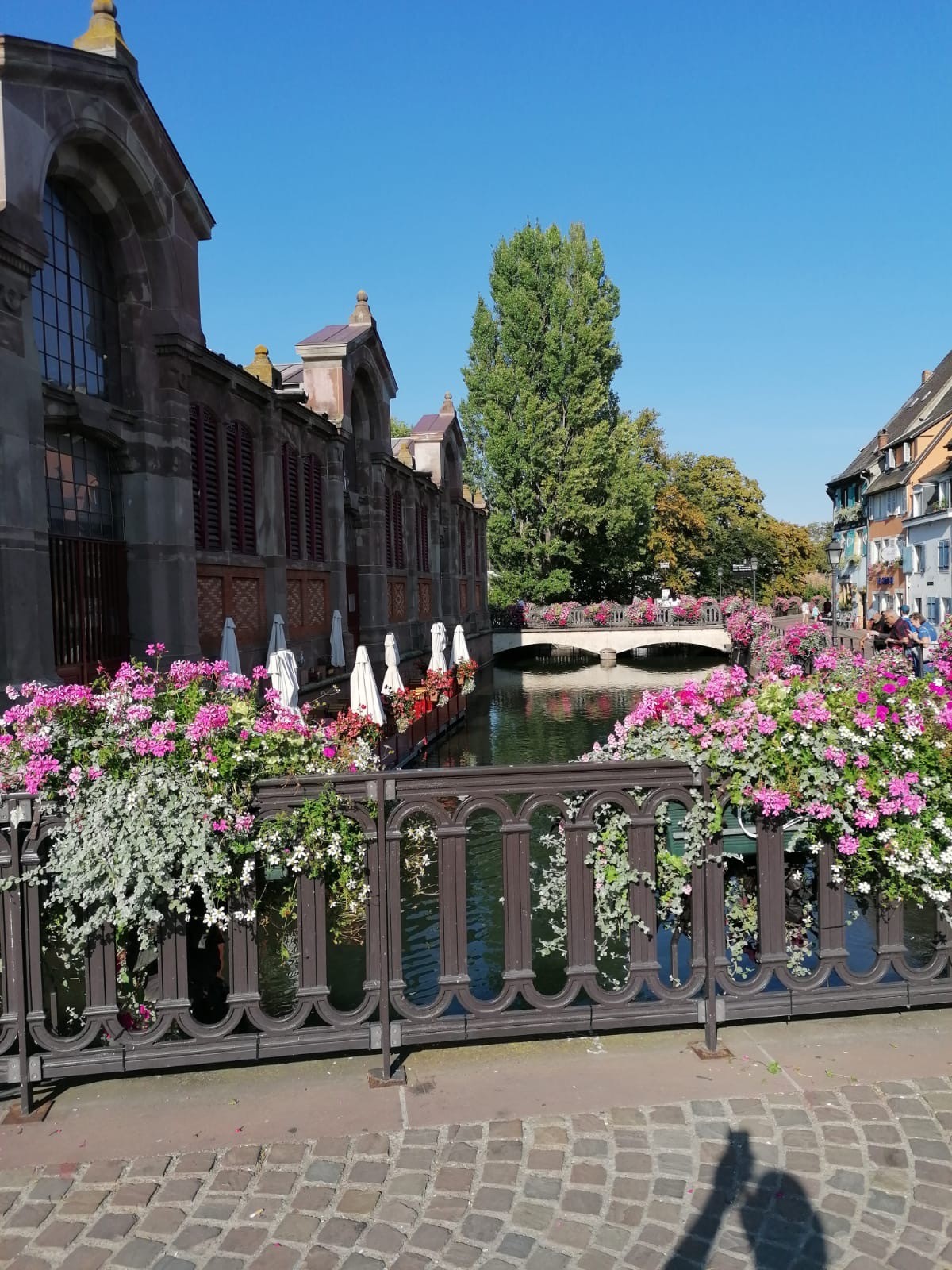 Mittelwihr 