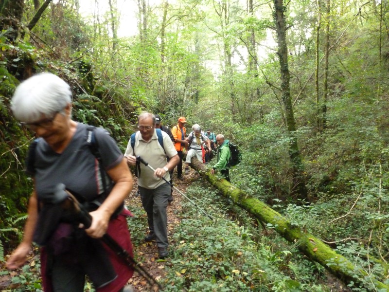 Rando sportive sur les hauts de Collonges et Messac