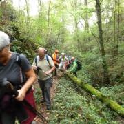 Rando sportive sur les hauts de Collonges et Messac