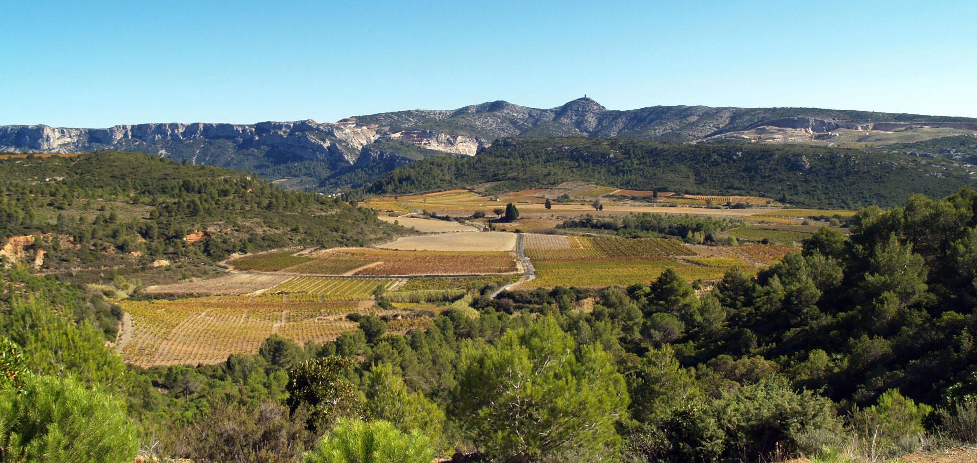 Cirque tautavel civr